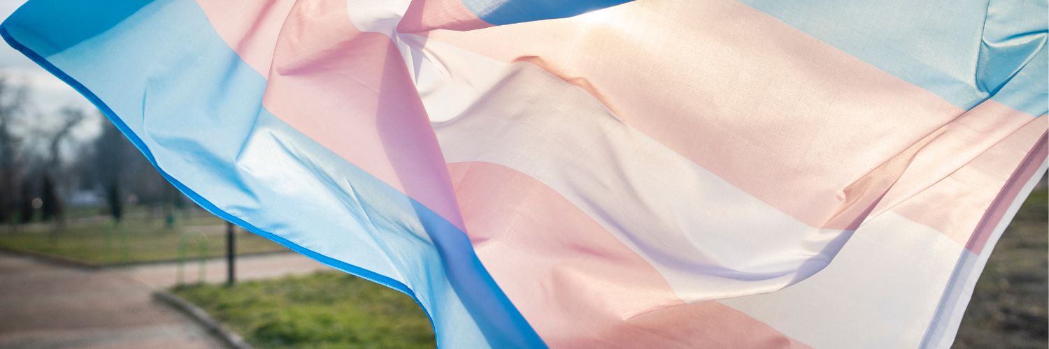 Trans flag